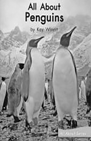 All About Penguins